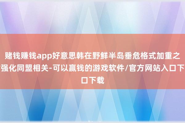 赌钱赚钱app好意思韩在野鲜半岛垂危格式加重之时强化同盟相关-可以赢钱的游戏软件/官方网站入口下载