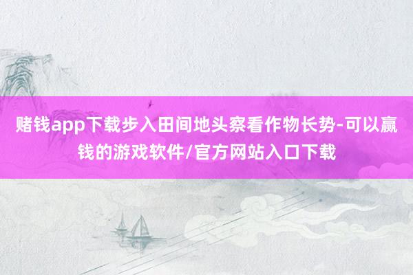 赌钱app下载步入田间地头察看作物长势-可以赢钱的游戏软件/官方网站入口下载